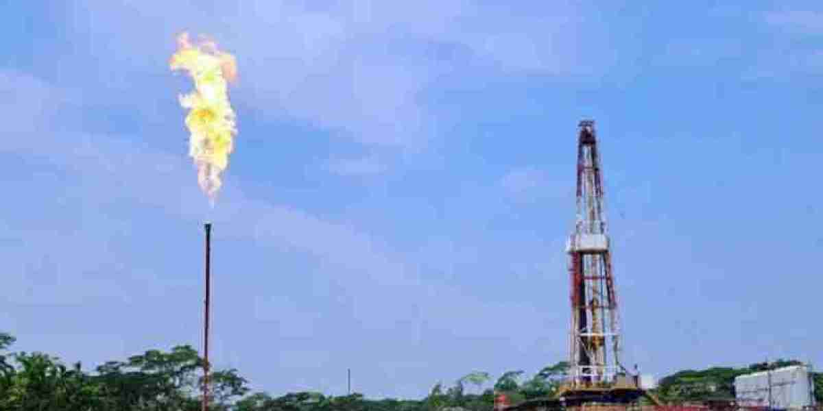 Data on 5 trillion cubic feet of gas reserves in Bhola is incorrect: Energy Department