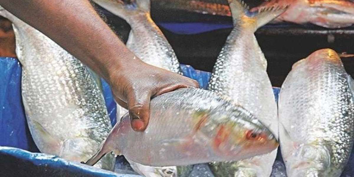 In the end, as many tons of hilsa are going to India