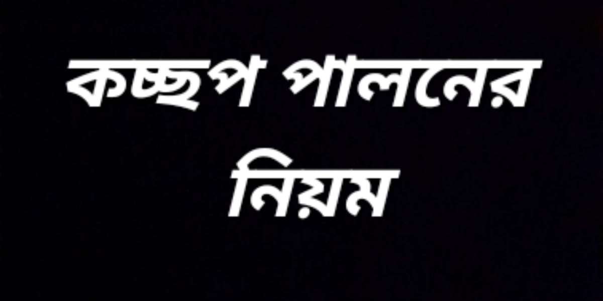 কচ্ছপ পালনের নিয়ম