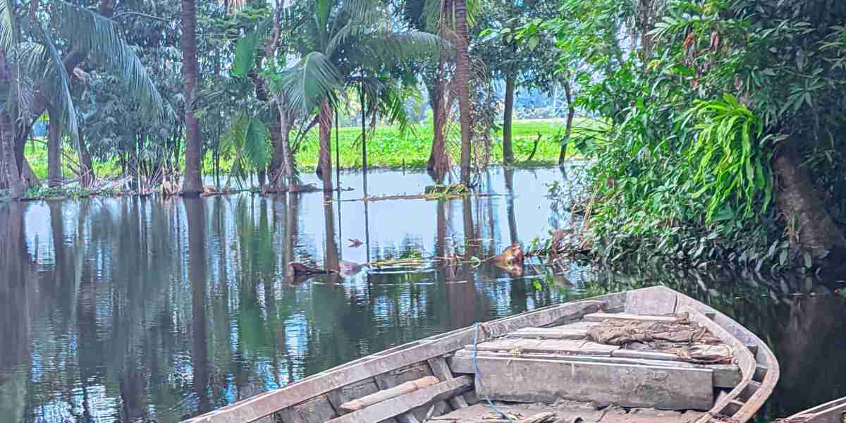 নৌকার উপকরণ