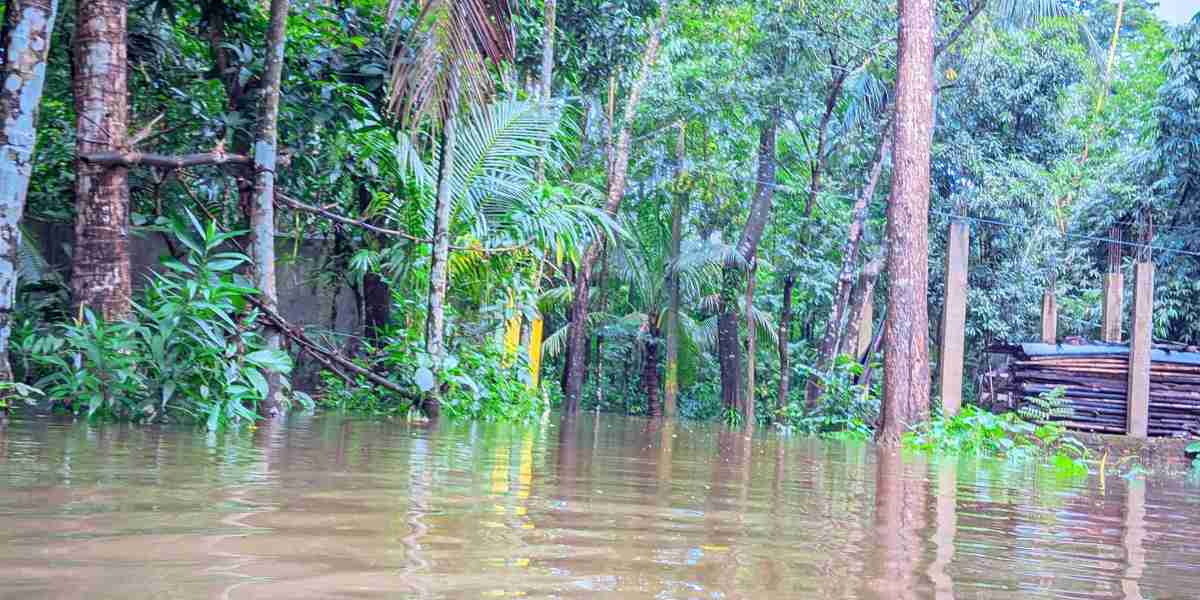 বন্যার পরিস্থিতি