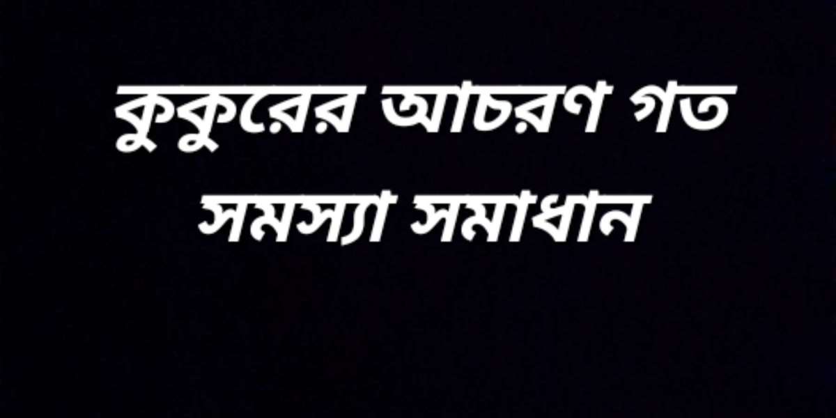 কুকুরের আচরণগত সমস্যা সমাধান