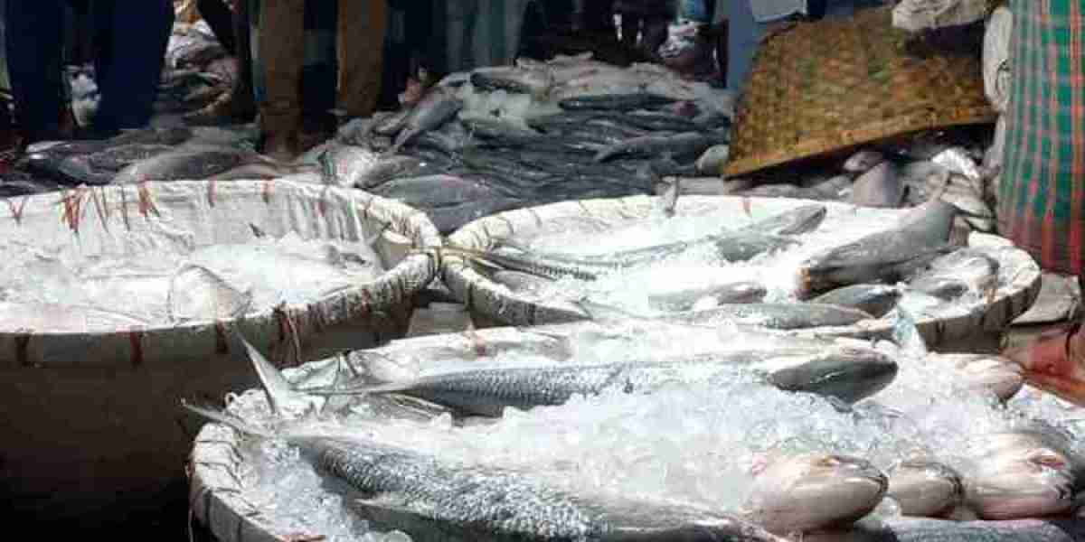 The price of hilsa increased by 200-300 taka per kg on the news of export to India