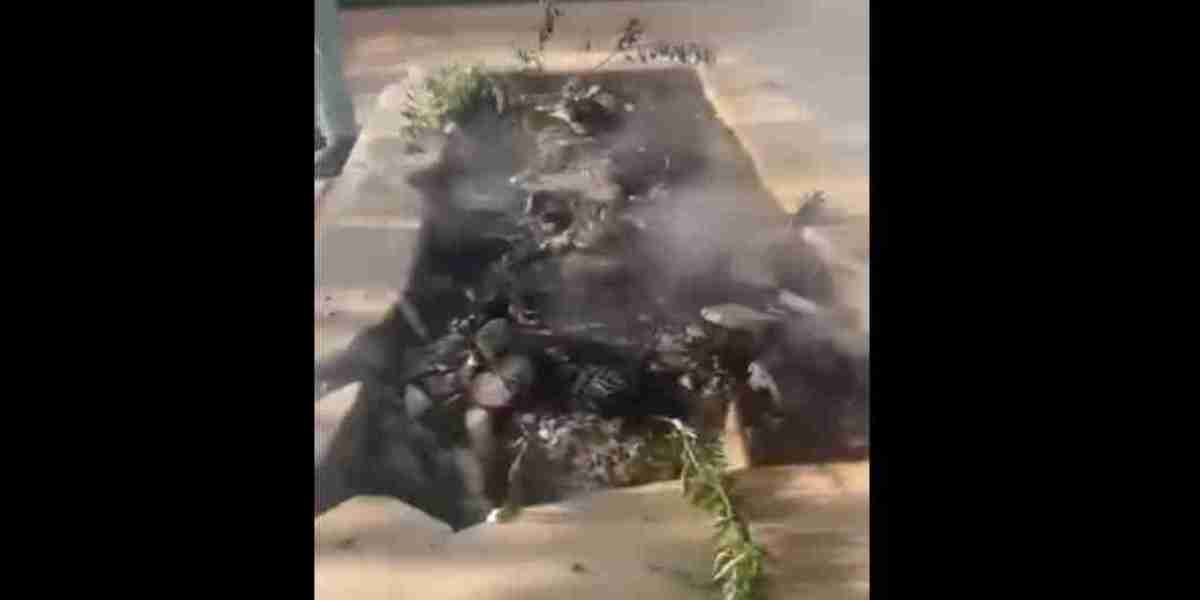 Miscreants set fire to the grave of Chittagong former MP Badal after attacking it