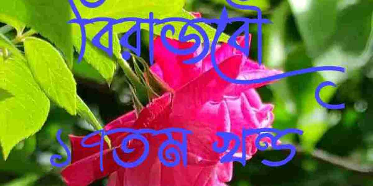 বিরাজবৌ ১৭তম খন্ড