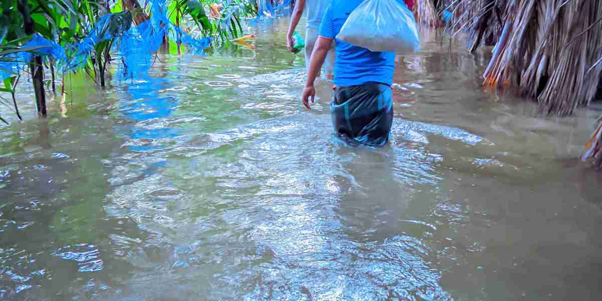 বন্যার পরিস্থিতি