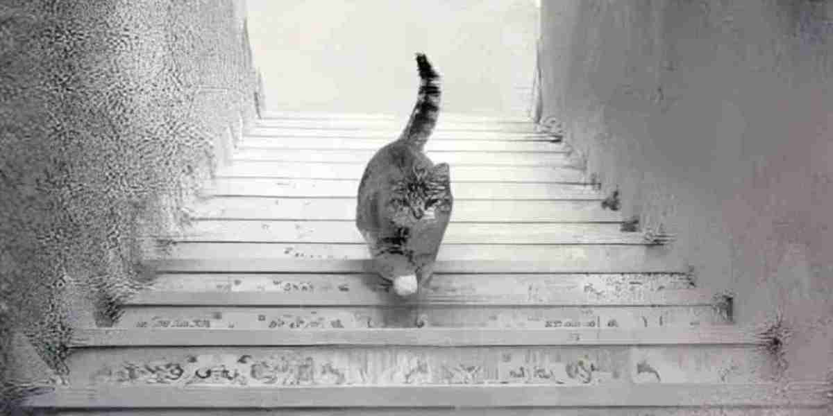 Zoom in on the picture and say is the cat going up or down the stairs? 99% of people give the wrong answer