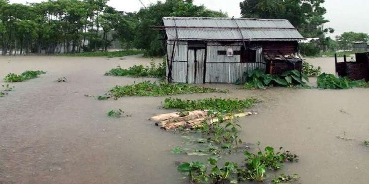 Floods in 5 northern districts, more than 23 thousand families are trapped in water