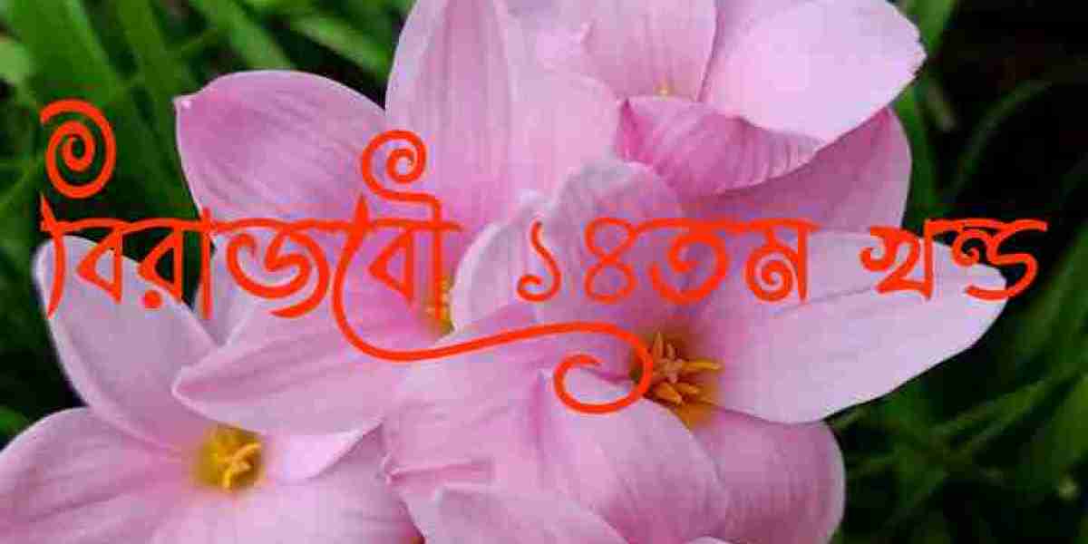 বিরাজবৌ ১৪তম খন্ড