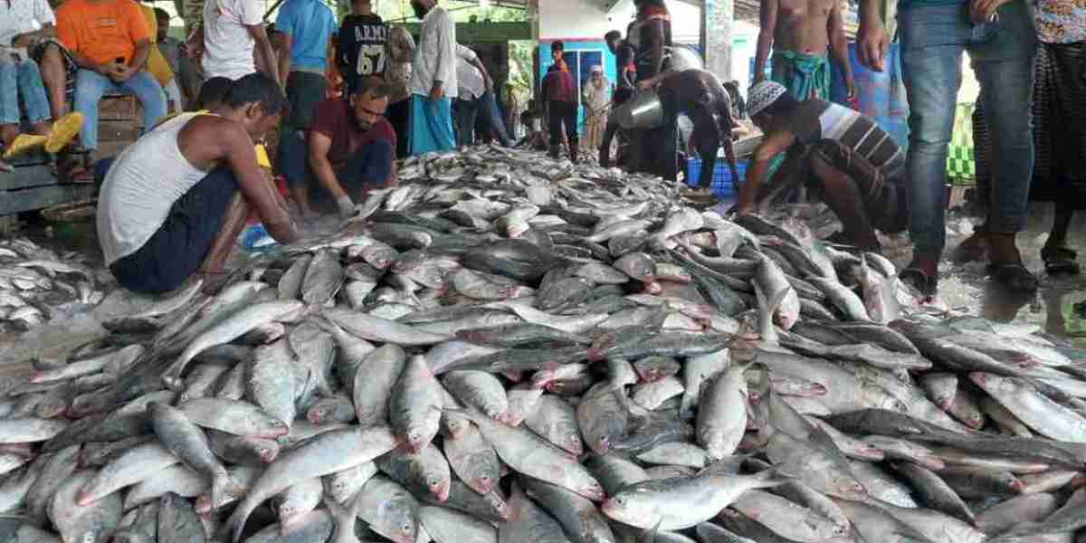 102 maunds of hilsa were caught in one net