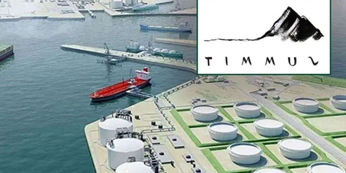 LNG terminal construction contract with Summit cancelled