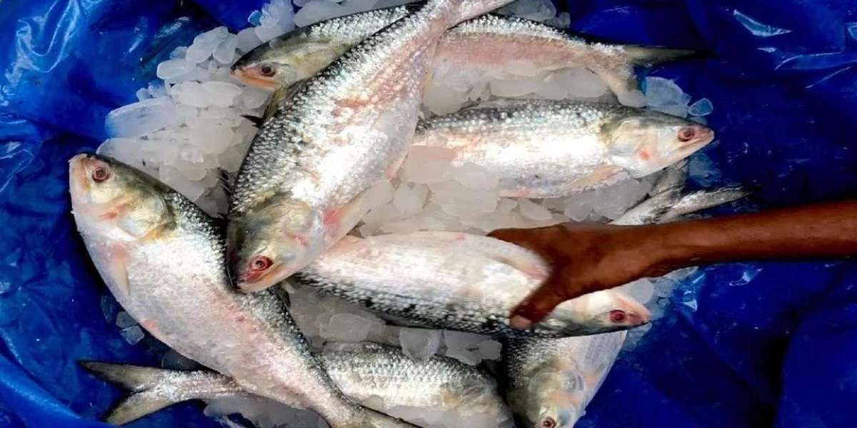 Do you know the real reason for stopping hilsa?