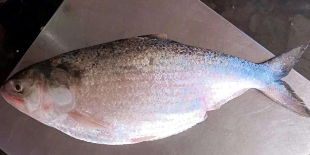 The price of a hilsa fish is 7 thousand taka