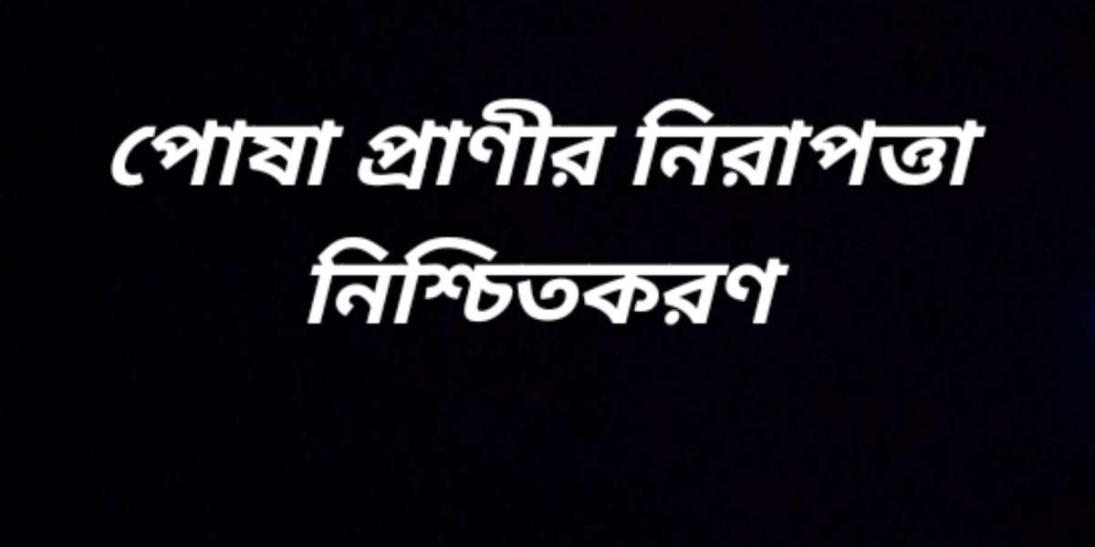 পোষা প্রাণীর নিরাপত্তা নিশ্চিতকরণ