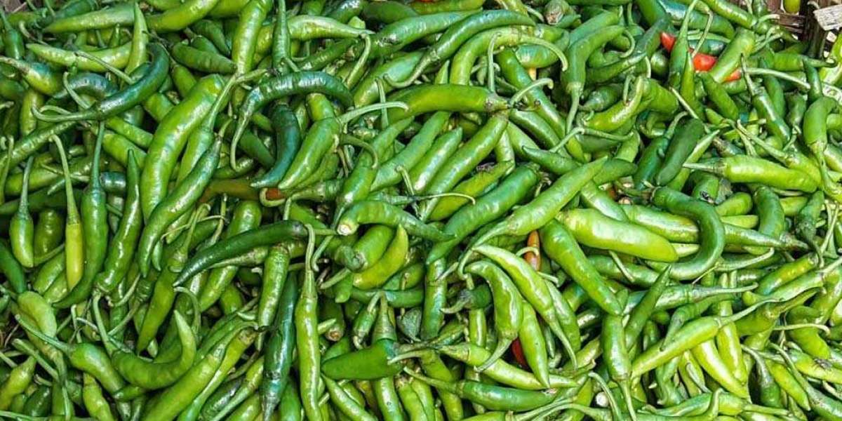 498 tons of green pepper entered Bangladesh from India at the rate of Tk 96 per kg