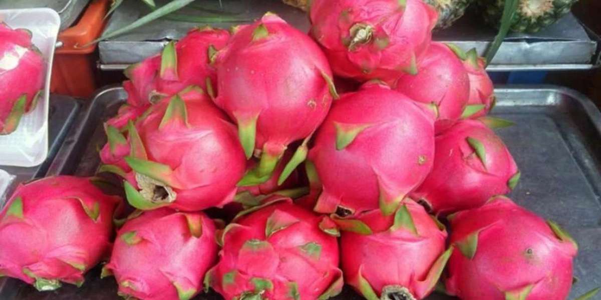 5 Reasons We Should Eat Dragon Fruit