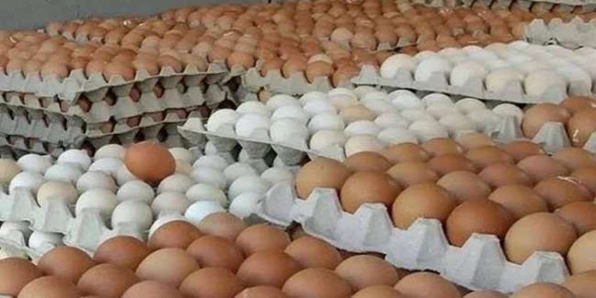 Egg production doubles demand in Jessore, yet booming market