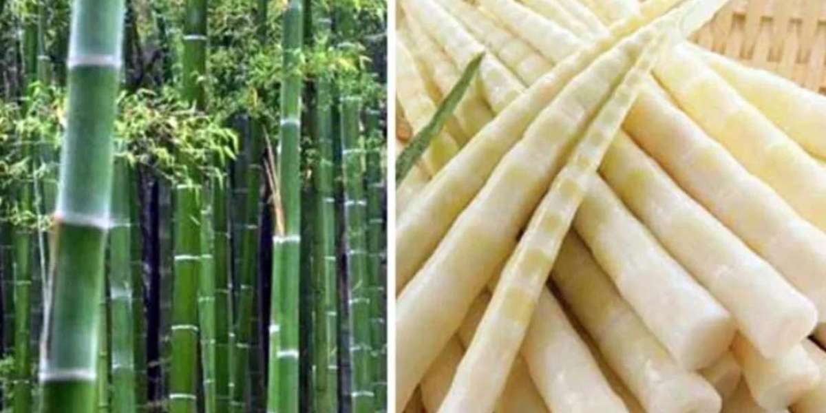 Why eat bamboo? how to eat