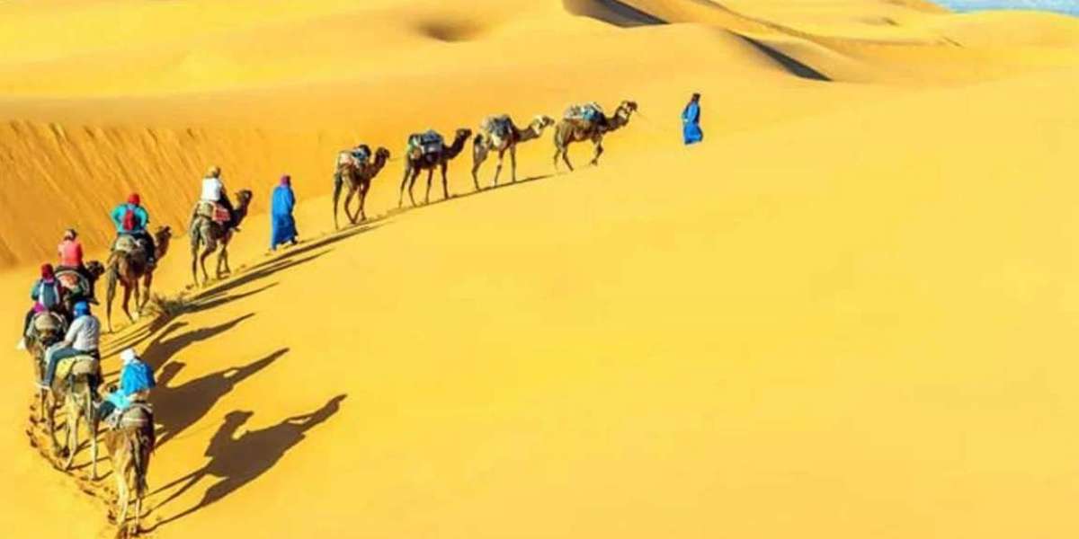 Amazing facts about the mysterious Sahara desert that will surprise you