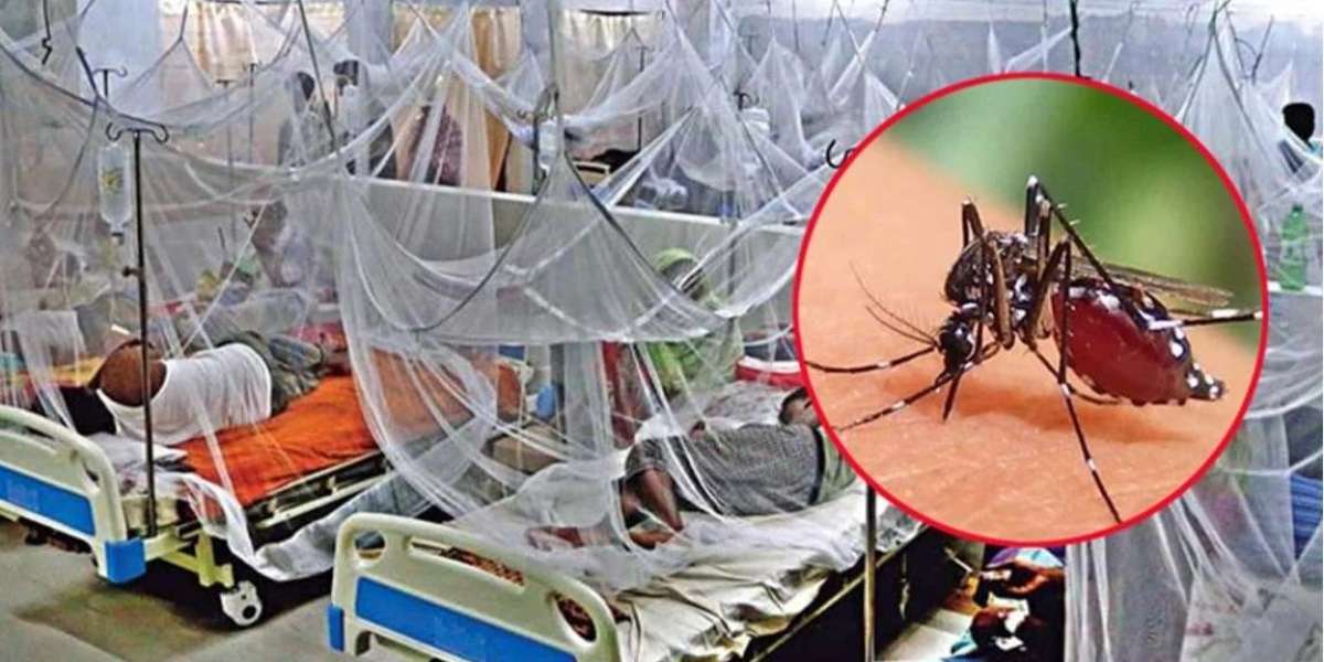 The entire Dhaka is at high risk of dengue