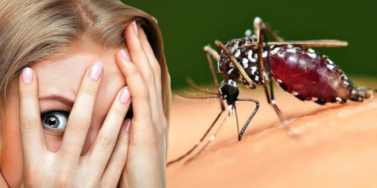 Mosquitoes are more attracted to clothes of any color