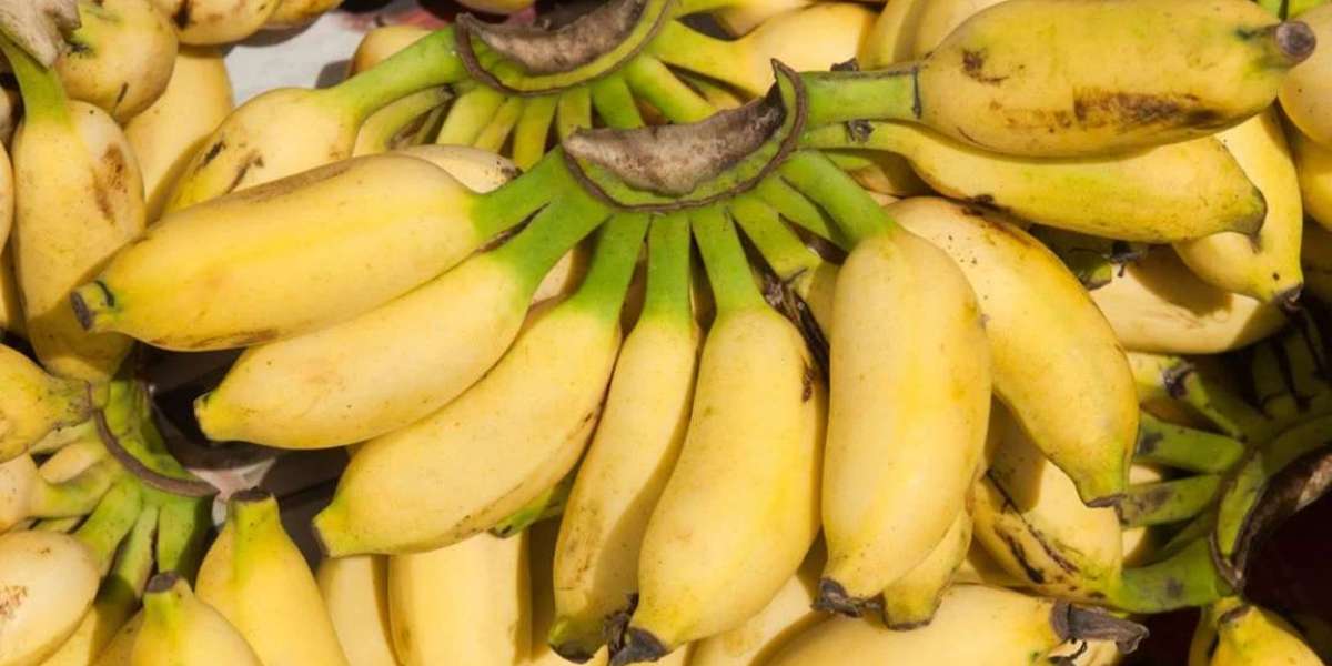 An easy way to keep ripe bananas fresh for longer