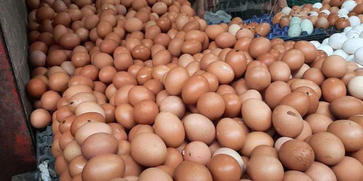 The government approved the import of 4.5 million pieces of eggs