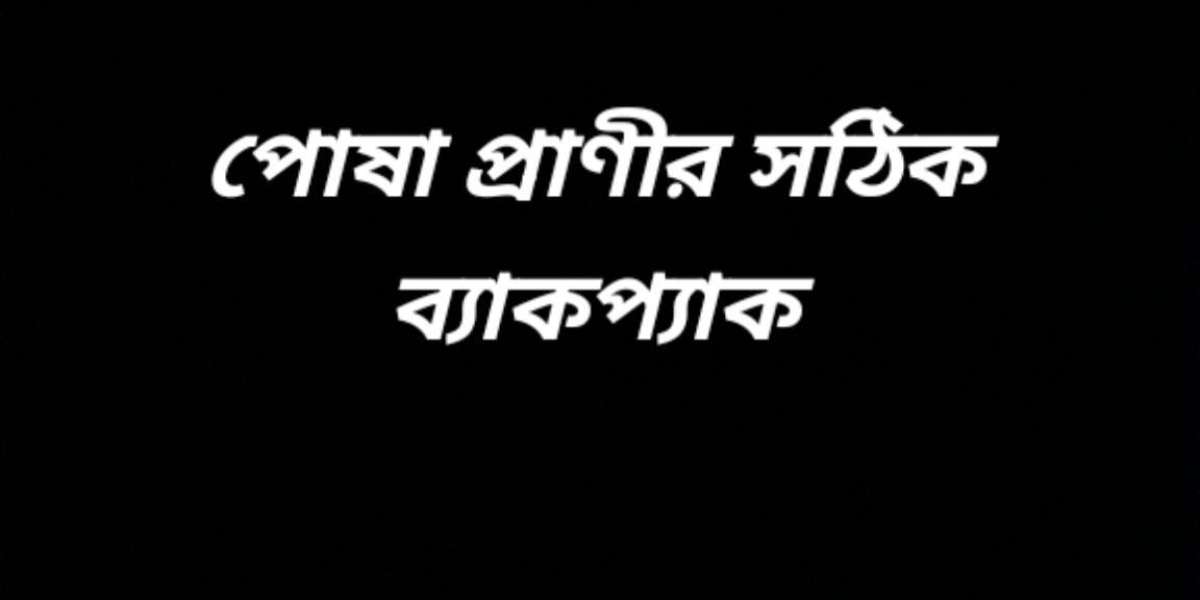 পোষা প্রাণীর সঠিক ব্যাকপ্যাক নির্বাচন