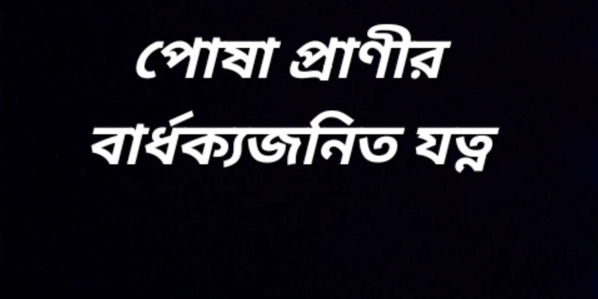 বার্ধক্যে পোষা প্রাণীর যত্ন