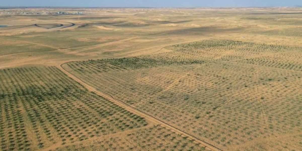 9 million trees planted in Saudi in three years