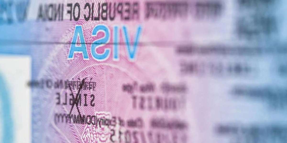 What India said about the new visa process