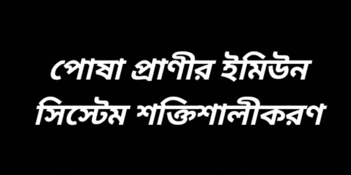 পোষা প্রাণীর ইমিউন সিস্টেম শক্তিশালীকরণ