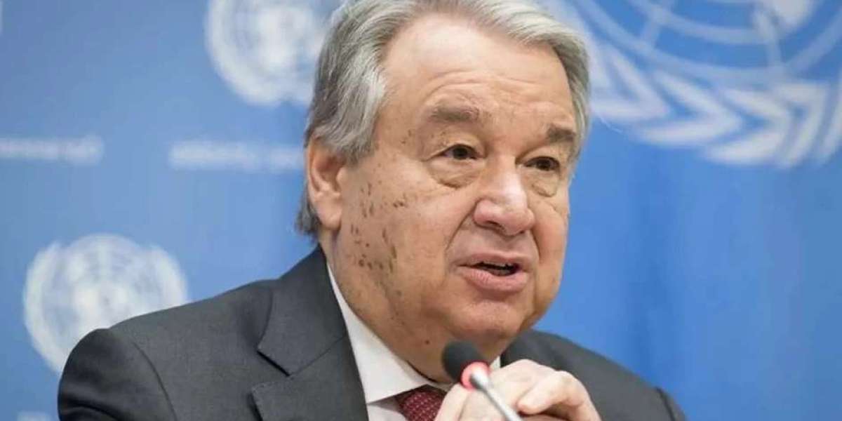 UN Secretary General declared 'undesirable' in Israel