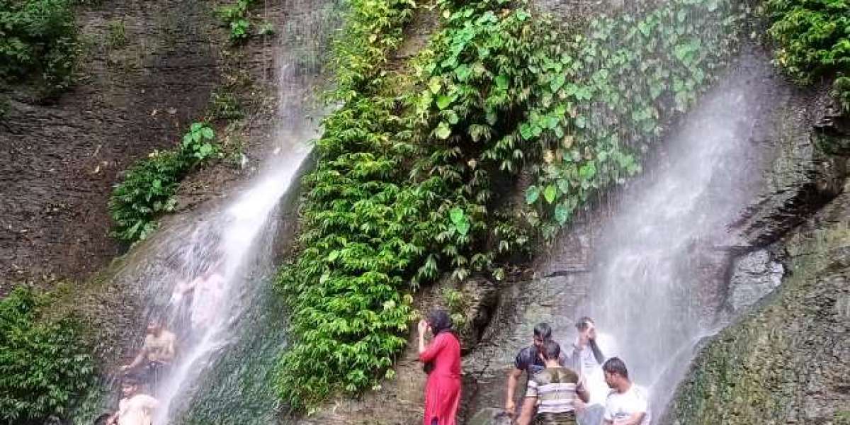 ঝর্ণায় উপভোগ প্রকৃতির সাথে সময় কাটানোর এক অপূর্ব অভিজ্ঞতা