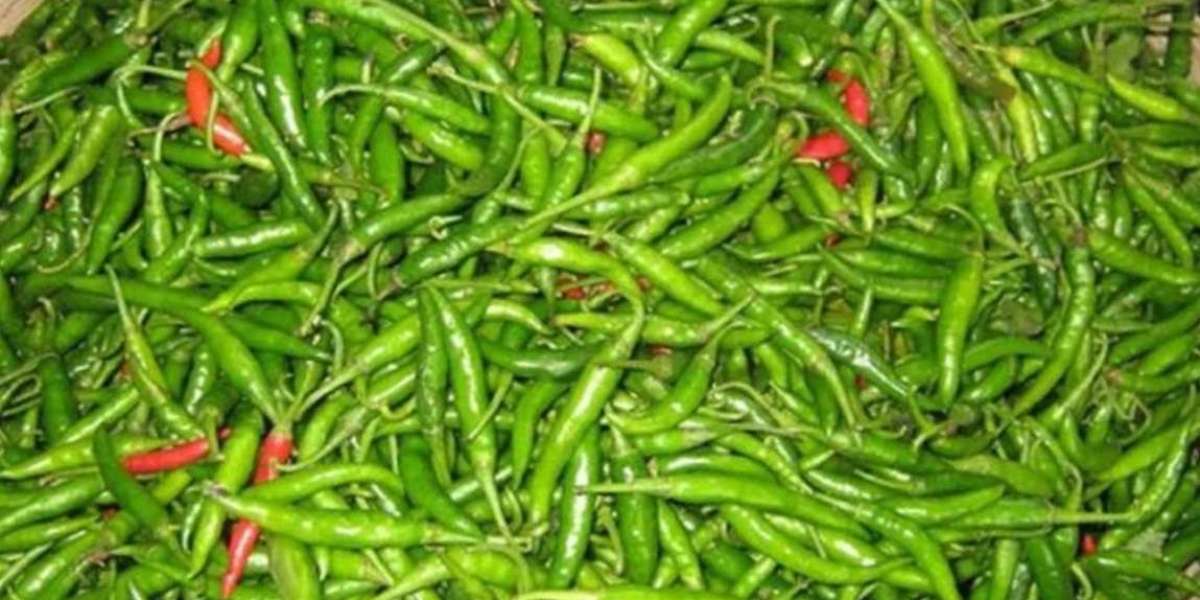 India's raw chilli is coming from Healy, wholesale price is 180 rupees per kg