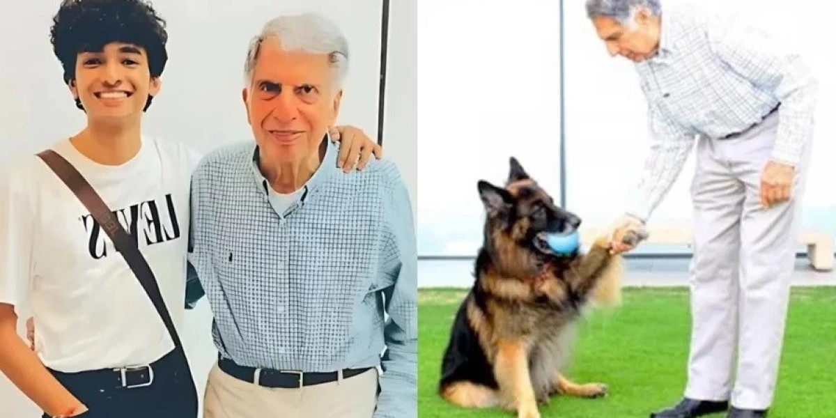 Ratan Tata Will: Dog Tito, Shantanu Naidu not left out