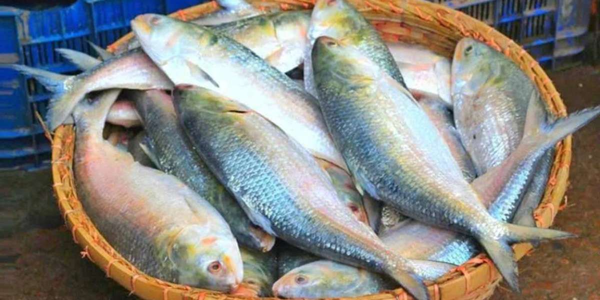 There are many reasons why the price of hilsa is out of reach