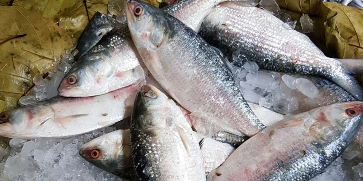 Five lakh 33 thousand kg of hilsa went to India during Durga Puja