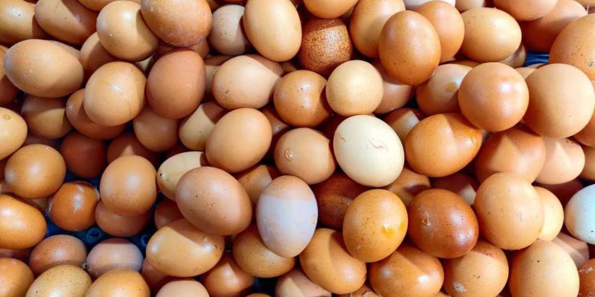 Bad news about egg prices, behind the scenes