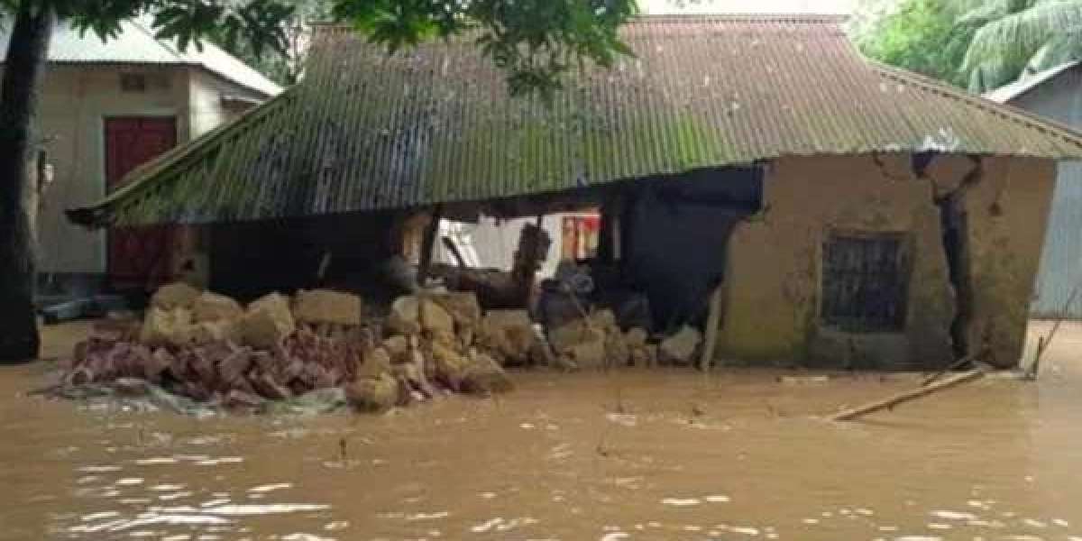 The overall flood situation in Sherpur has improved, the suffering has not decreased