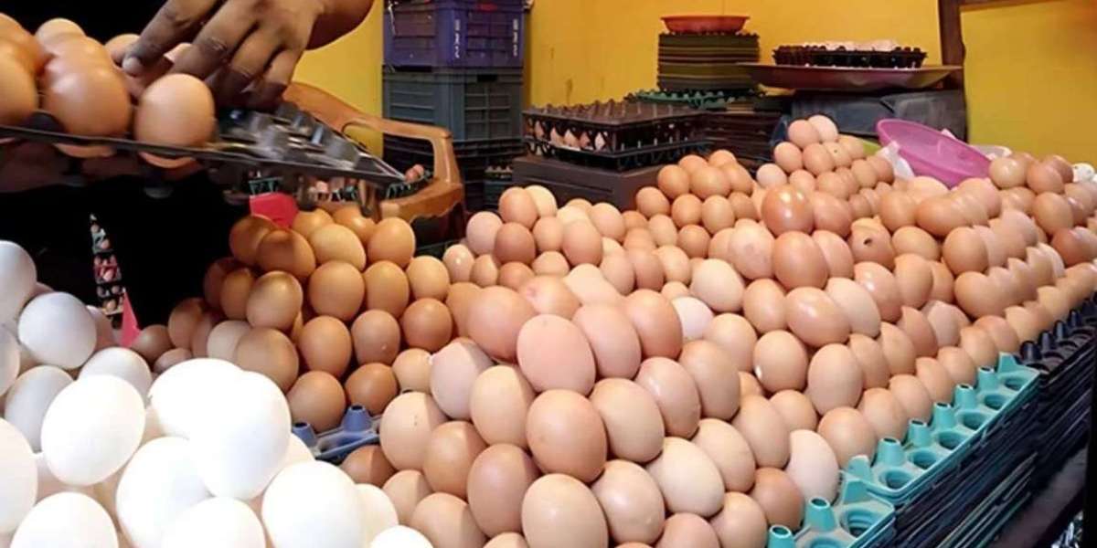 The profiteers accepted the wisdom of the government to reduce the price of eggs