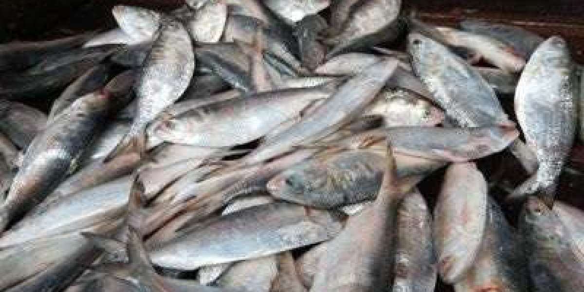 In 4 years, the price of hilsa has increased more than 3 times!