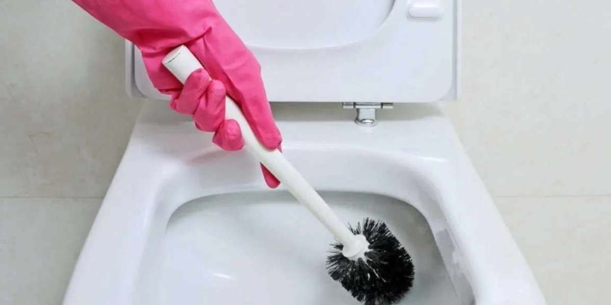 4 Ways to Remove Stains from Toilet Seats