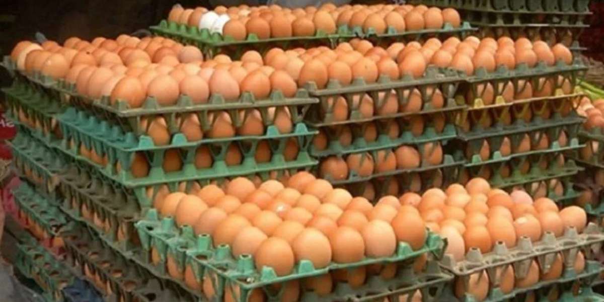 There is no shortage of eggs in the market, yet the price is 15 rupees per piece