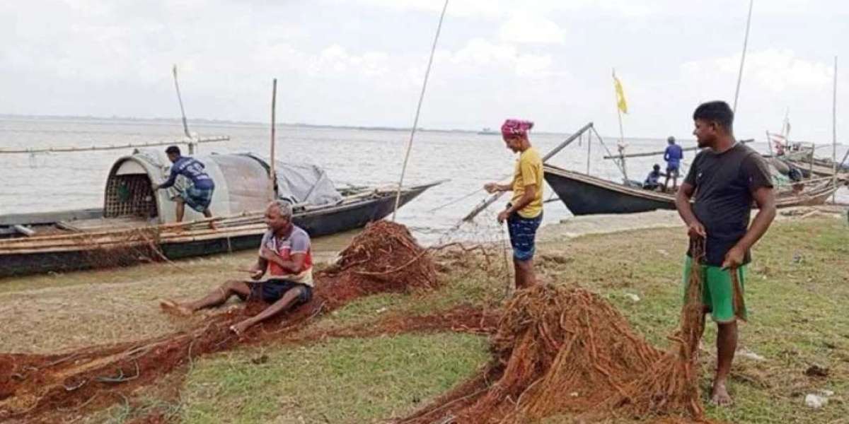 Seasonal fishermen are preparing for hilsa hunting