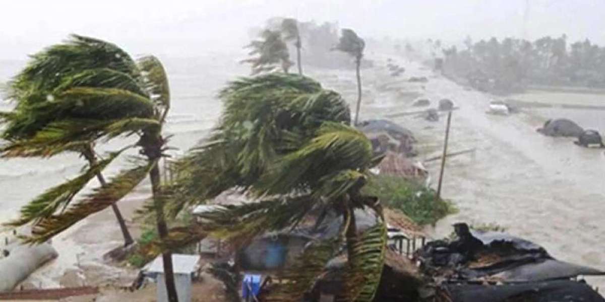 'Dana' has turned into a strong cyclone, warnings issued at the port