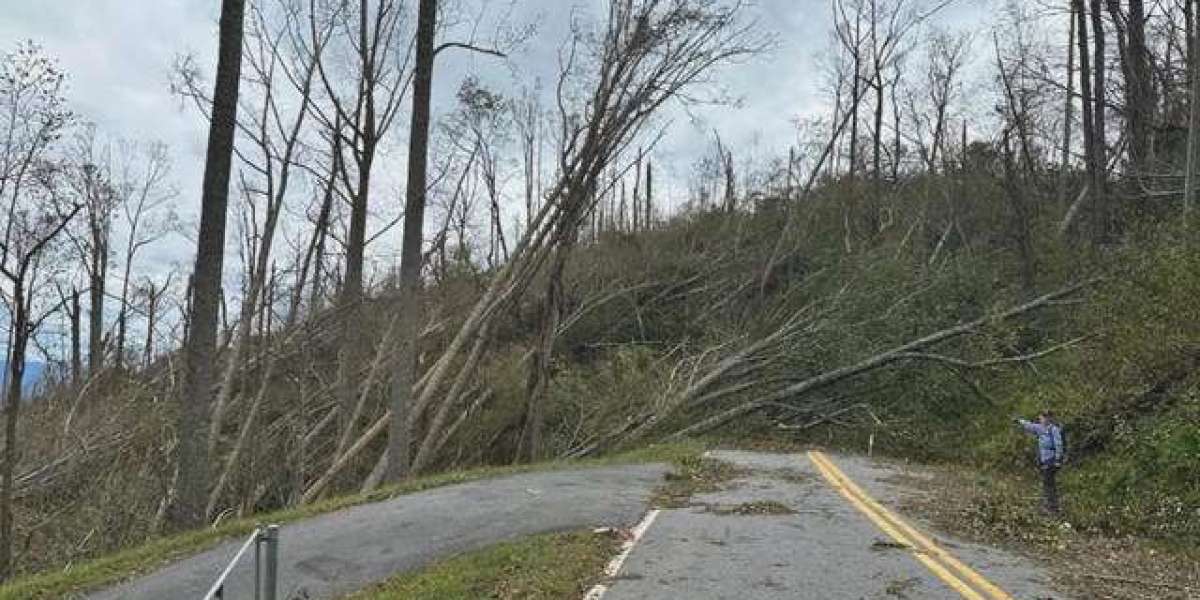 North Carolina residents who helped Mass. bachelorette party after hurricane remain stranded