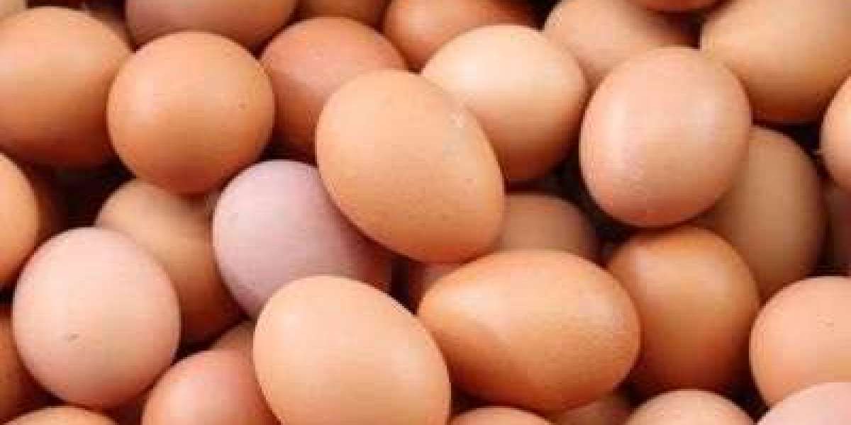 Traders are not able to import eggs through Hili port