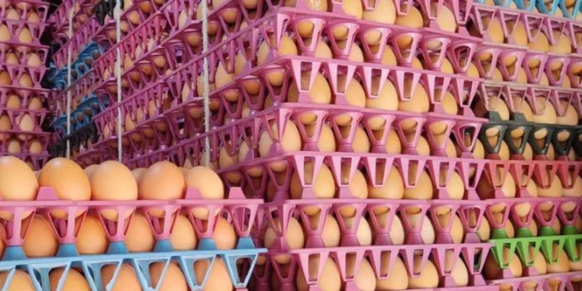 The government will import 4.5 million eggs