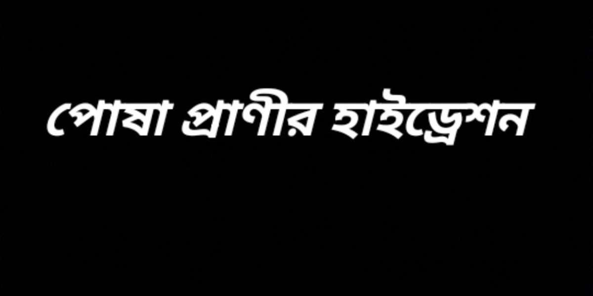 পোষা প্রাণীর হাইড্রেশন